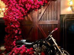 -碧特博格啤酒花园餐厅(芜湖路店)