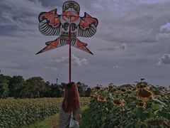 -光明小镇欢乐田园