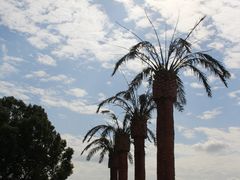 -上海月湖雕塑公园
