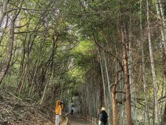 -敬亭山风景名胜区