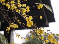 -国生茶庄·地道农家菜团建活动