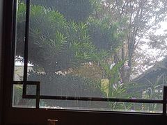 -春色如许·茶食餐厅(桃李春风店)