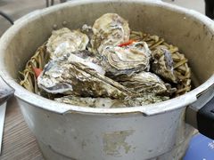 -蚝山·喷汽火山生蚝(前福路店)