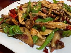 双椒牛肝菌-蘑统田下·野生菌火锅