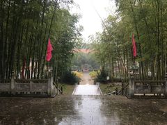 -报恩禅寺