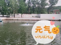 -向外鱼乐·土菜·虹鳟鱼