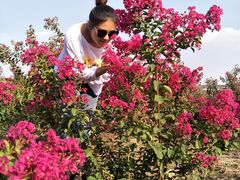 -古柏渡飞黄旅游区