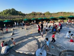 -季高兔窝窝亲子园(上海薰衣草公园店)