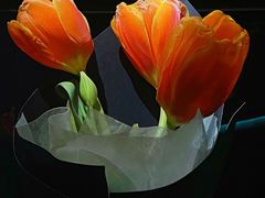 -循礼门鲜花花市(武汉循礼门店)