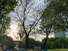 -天鹅湖体育公园