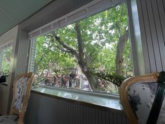 -蝶舍·MAISON PAPILLON