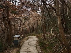 -采石矶景区