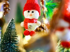 -深圳星河丽思卡尔顿酒店