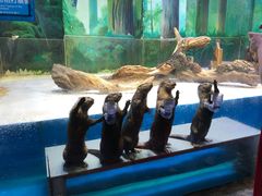 -华夏文旅海洋公园