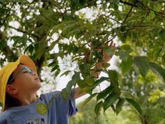 -福建鲤鱼洲酒店