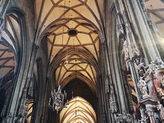 -斯蒂芬主教座堂(Stephansdom)
