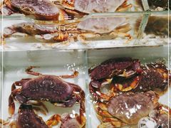 -万龙洲海鲜(大兴绿地缤纷城店)