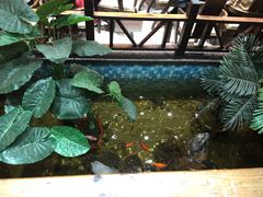 -大宝全猪馆(南京路店)