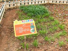 -天河儿童公园