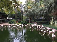 -九龙公园