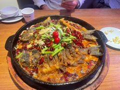 -老板恋上鱼(恒隆广场店)