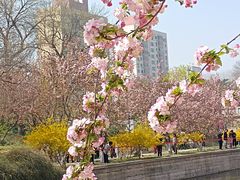 -元大都城垣遗址公园