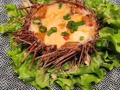 -大连湾旭日·家宴·海肠捞饭(马栏广场店)