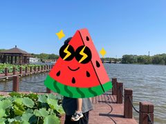 景点-石家庄市植物园