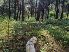 -沈阳辉山风景区