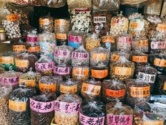 -大湾区中央湿地公园-十九涌