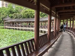-龙头寺公园
