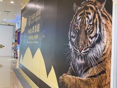 -老虎堂黑糖专売
