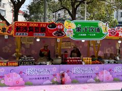 景点-高东镇樱花园