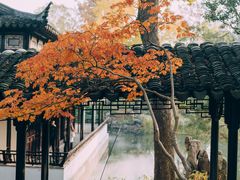 -拙政园