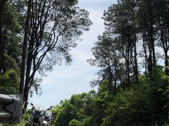 -青龙山国家森林公园