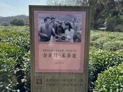 -中国茶叶博物馆(双峰馆区)