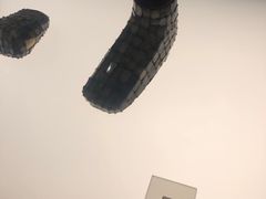 -临沂市博物馆