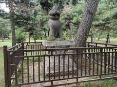 -沈阳市东陵公园