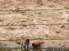 -鄂尔多斯野生动物园