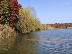 -溱湖国家湿地公园