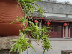 -木洞河街