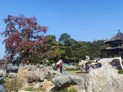 -东湖落雁景区