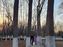 -森林公园(尖草坪区)