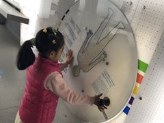 -日本科学未来馆