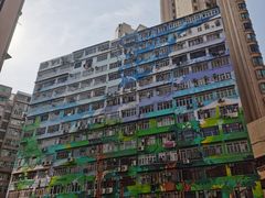 -香港宠物街