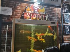 -拳盛时代拳击俱乐部(北京路店)
