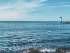 -星巴克臻选(周浦万达店)