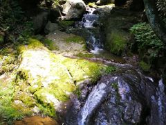 -藏龙百瀑风景区