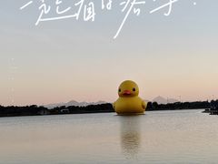 -深圳人才公园