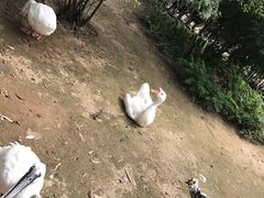 -森林公园(尖草坪区)